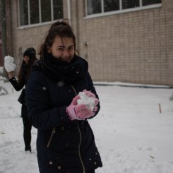 Перший сніг